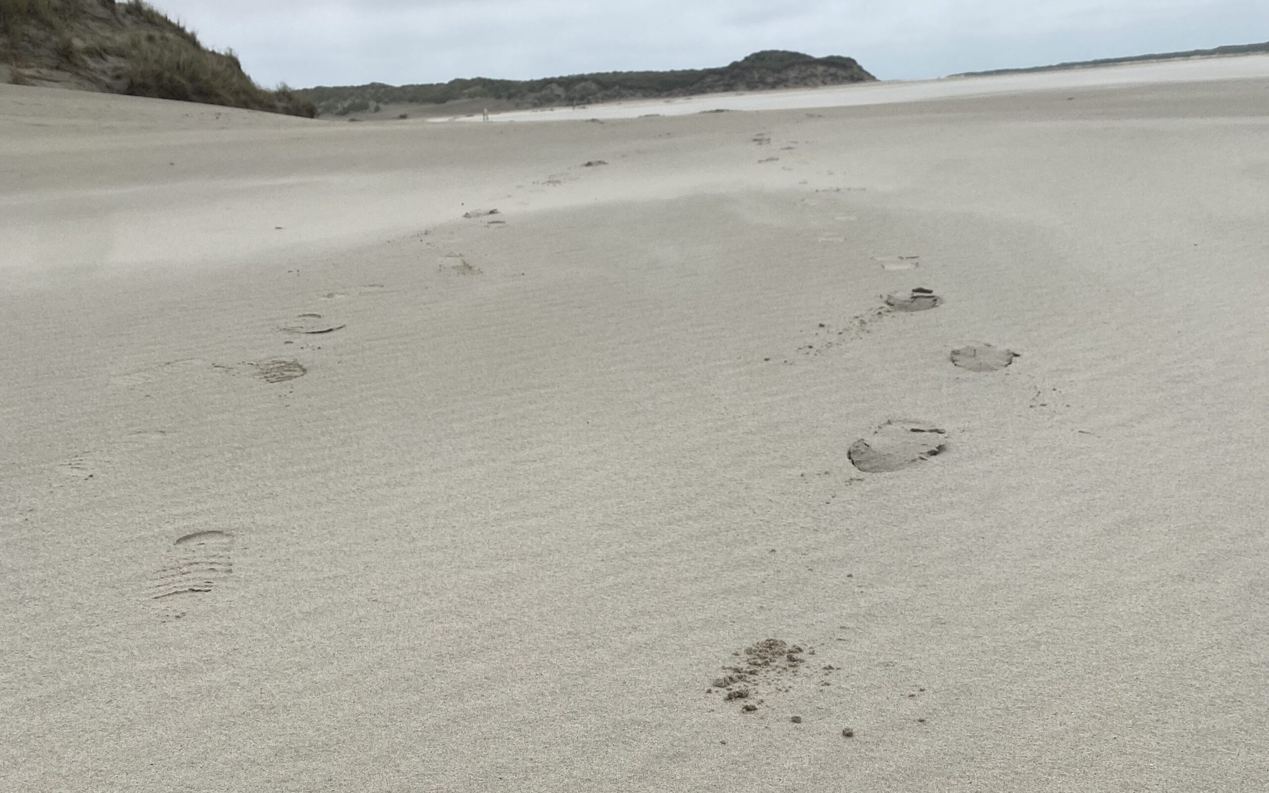 Zwei Spuren im Sand