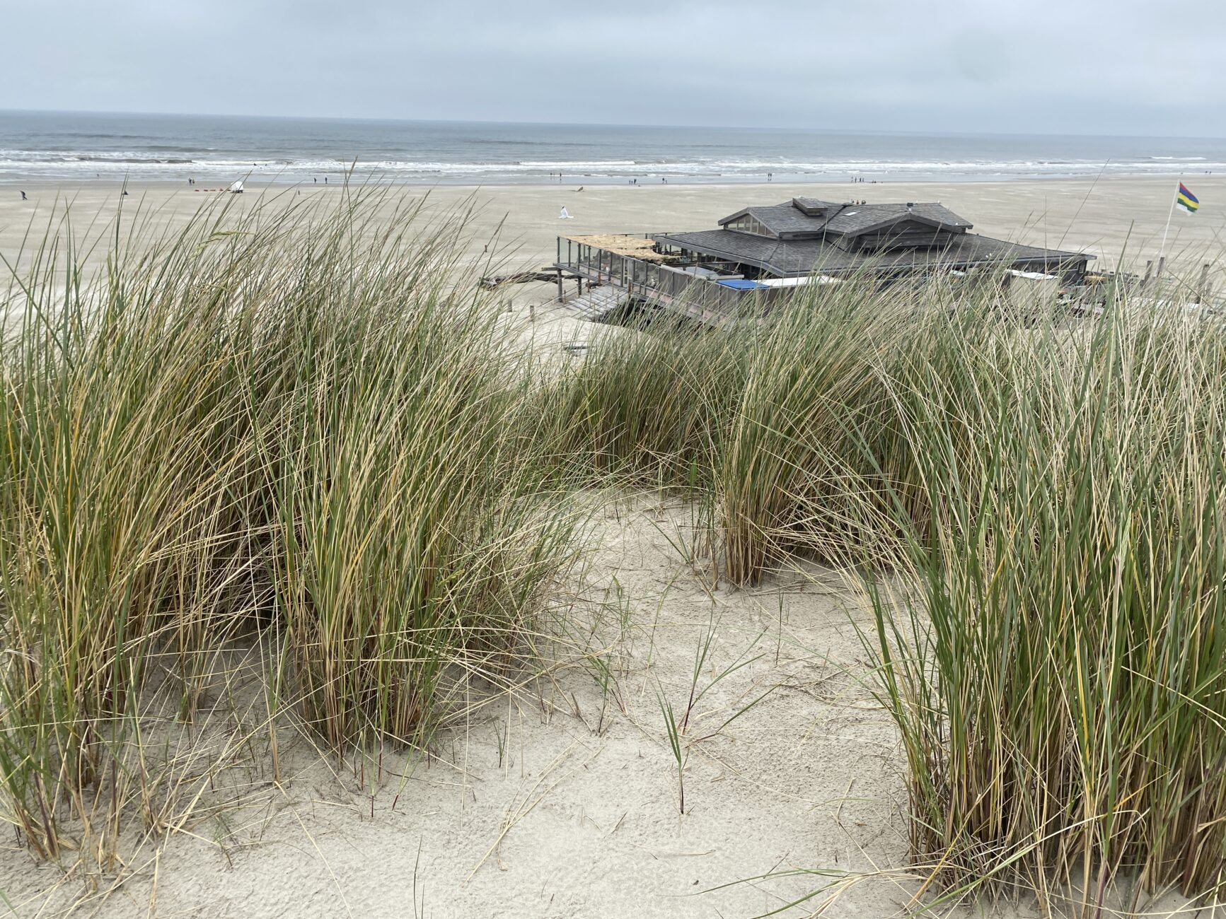 Blick über die Dünen ins Meer