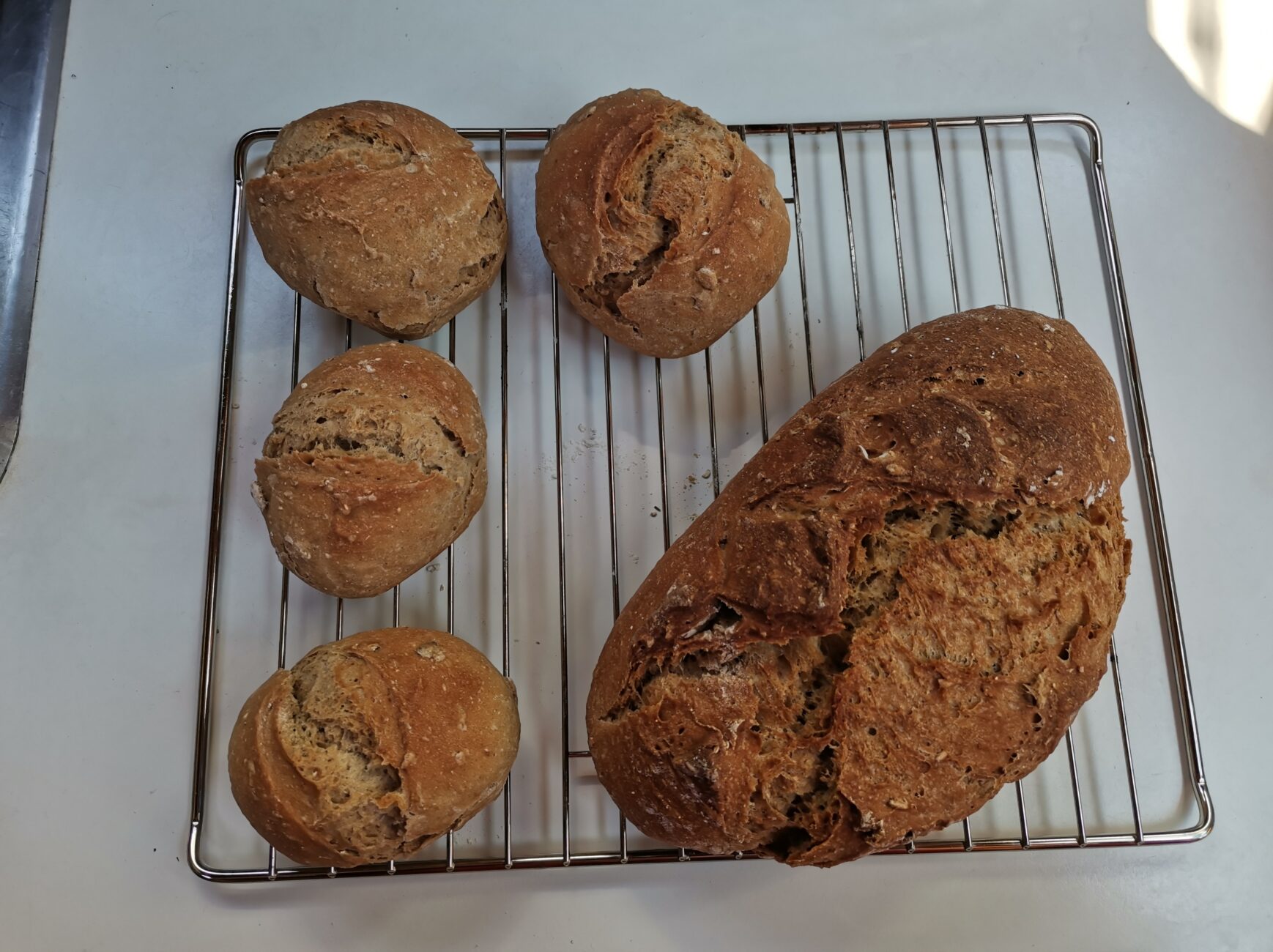 Brötchen und Brot aus dem Ofen