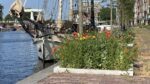 Altes Schiff hinter Blumenrabatte