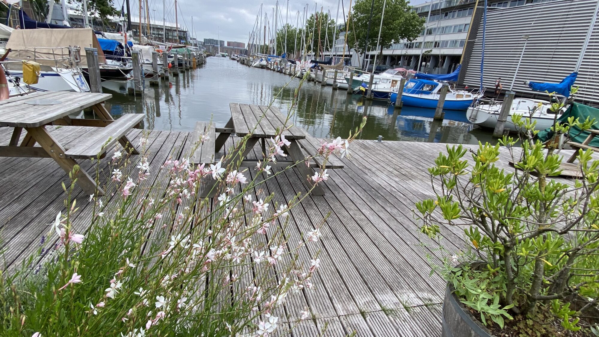 Blick aus Hafen