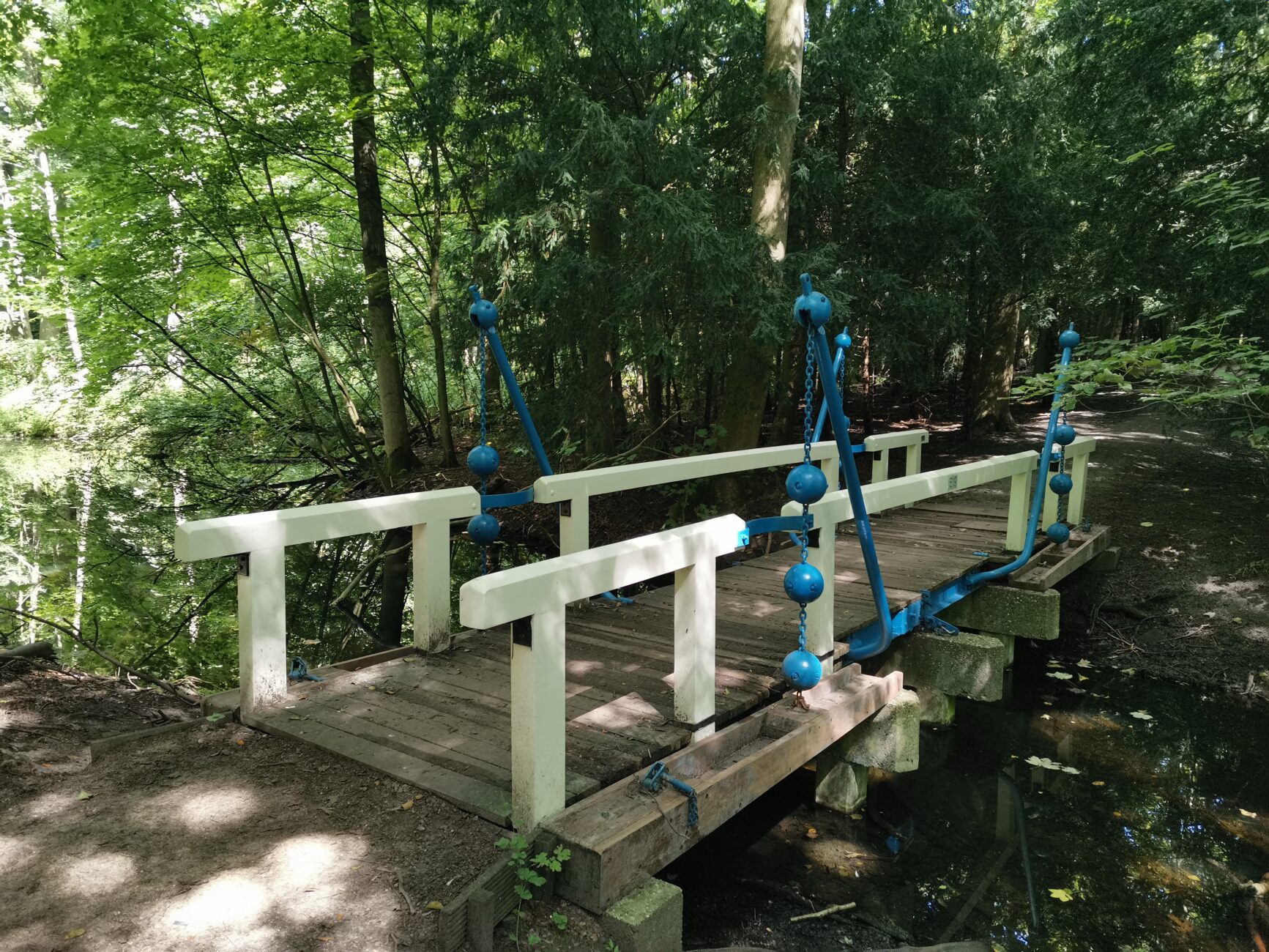 Brücke im Wald